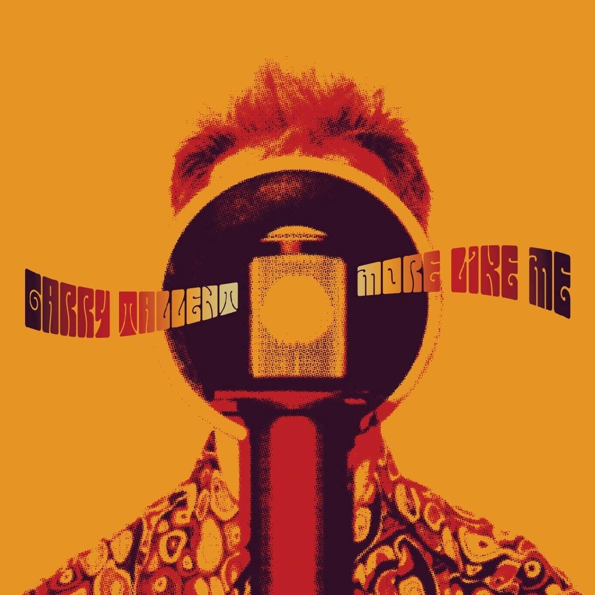 More Like Me [VINYL]