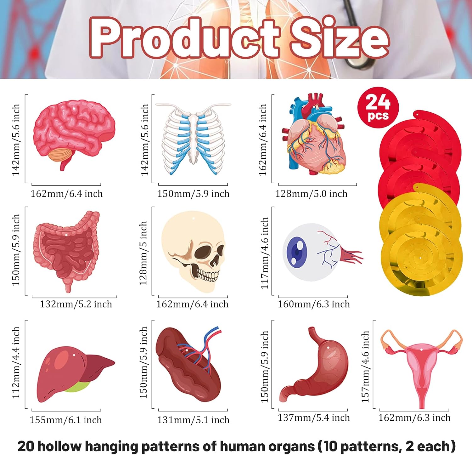 44 Pcs Anatomy Hanging Swirls Decoration, 20 Human Body Organ-Themed Ceiling Foil Swirl Ornaments with Brain, Heart, Skull, Rib Cage, Stomach & Double Swirl for Science Medical Office Graduation Decor