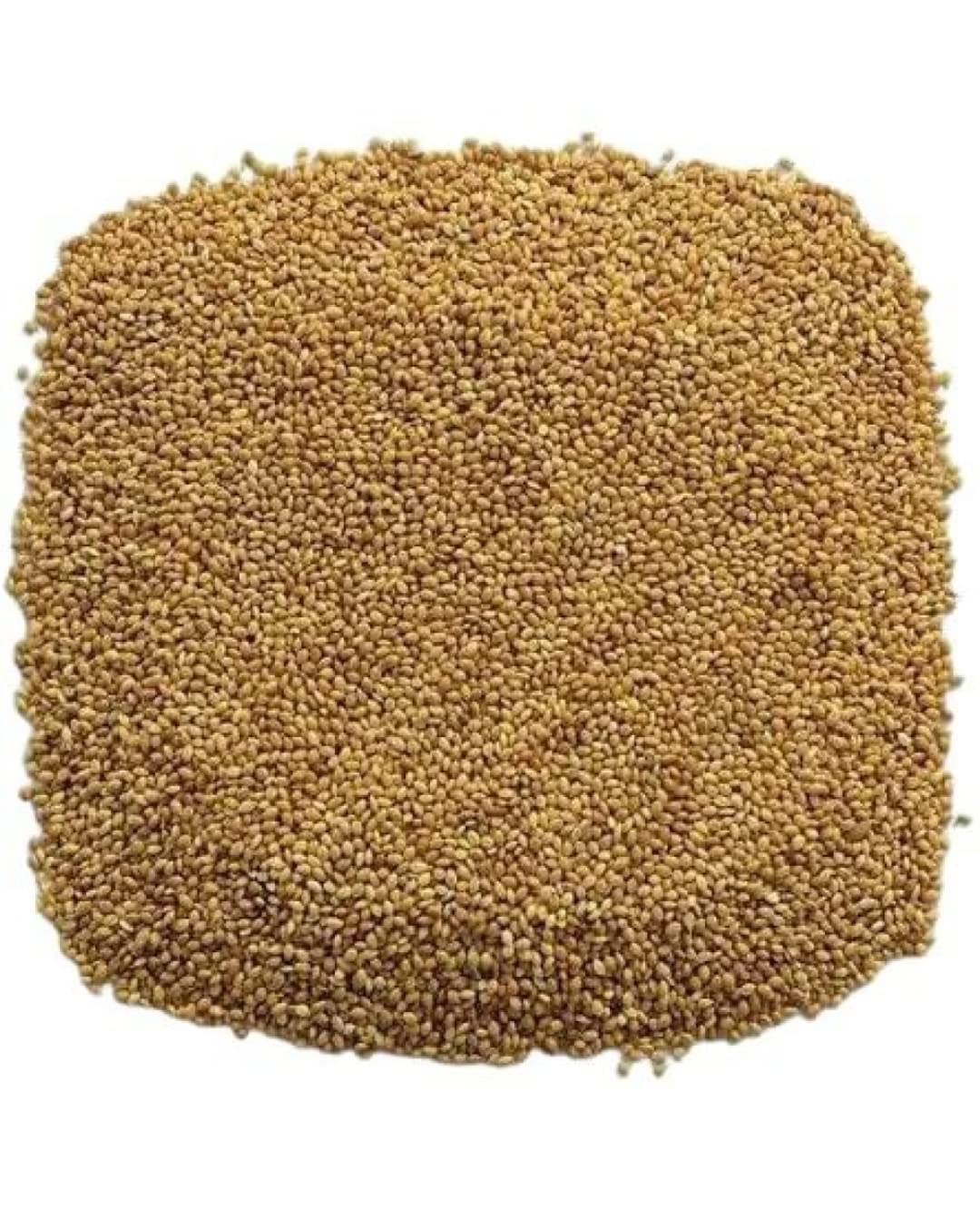Foxtail Millet for Small Bird/Yellow Millet/kangni Seeds for Giving high Energy and Boosting nutritions or Healthy Diet 100% Natural (Pack of 1)
