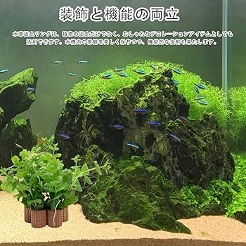 Amazon.co.jp: LKCCTK 水生植物固定リング 水草固定リング 10個