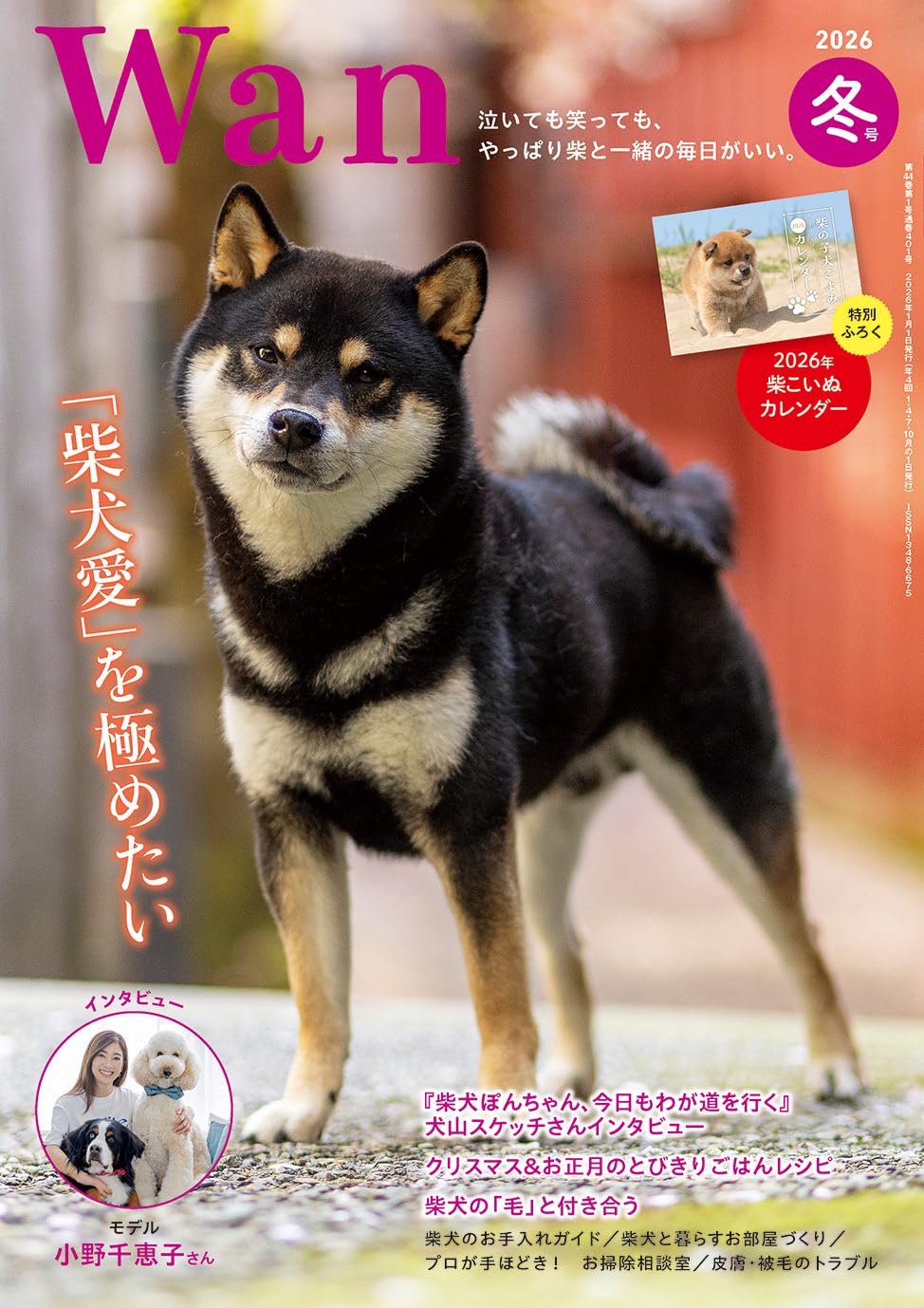 Wan 2026年 1月号＜冬号＞(特集：「柴犬愛」を極めたい)[雑誌