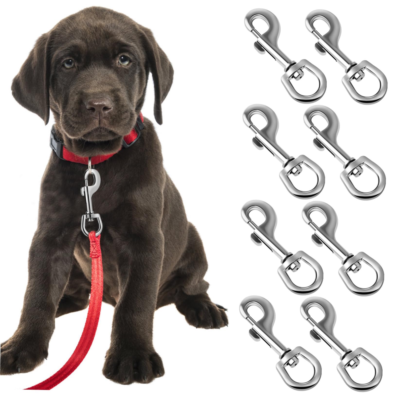 IWOWHERO Robust Stainless Steel Dog Leash Clips Bolt Snap Hooks Swivel Snap Clips for Pet Buckle Leash 8 Pack