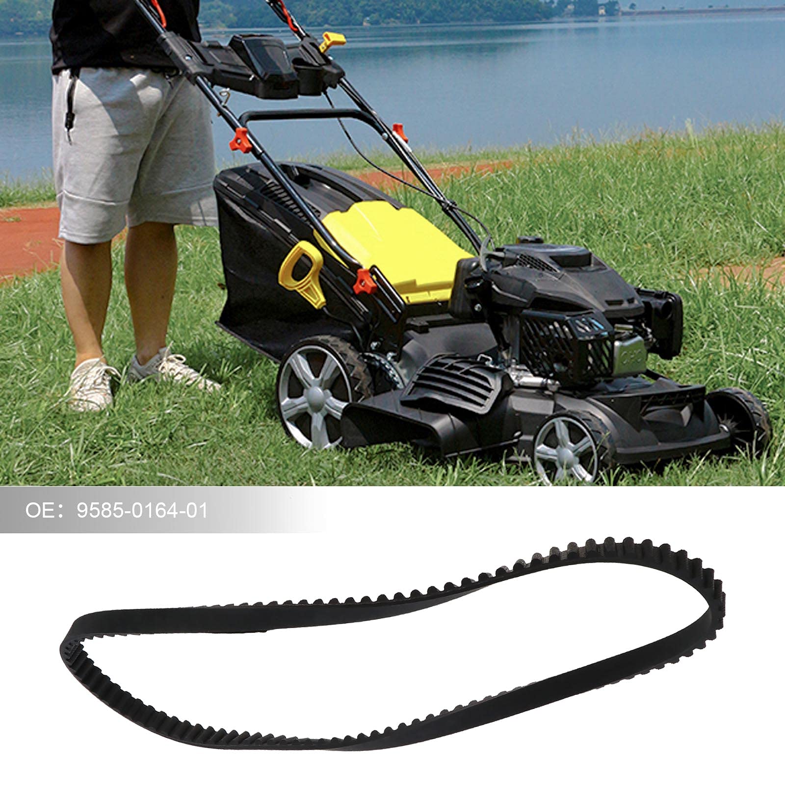ECSiNG Confezione da 2 cinghie di trasmissione per tosaerba Stiga Park 95 Combi Deck 9585-0164-01 HTD800-8M-12 - 100 denti - 8 mm - Circonferenza: 800 mm