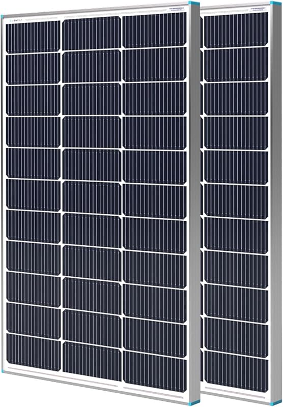 Paneles solares Renogy 100W 2PCS, Panel solar tipo N 25% de alta eficiencia 16BB | Panel solar de 200 vatios para sistemas de batería de 12 V, módulo fotovoltaico IP67 para RV Marine Rooftop Farm Trailer Cabin Home fuera de la red