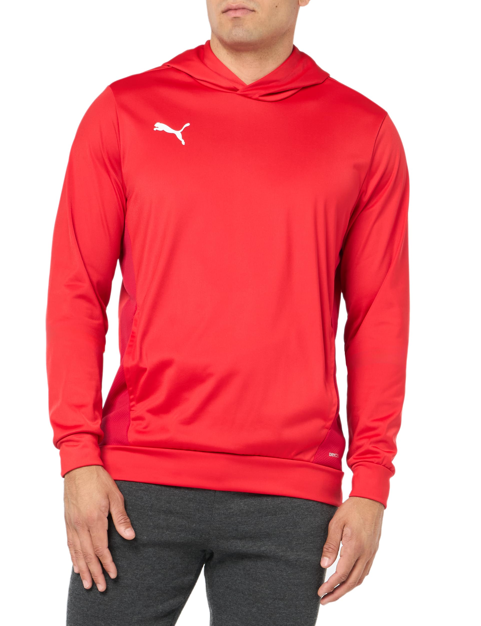 Men's Teamgoal Training Hoodie