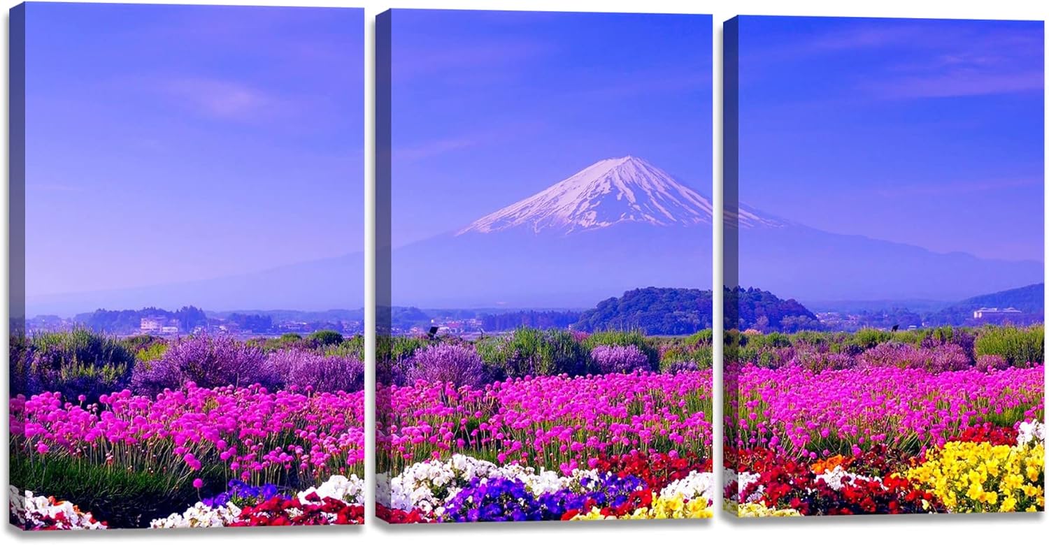 1349円 18 Off 富士山 青空 アート パネル 山絵 花 木 風景画 日光 日出 森林 自然風景 太陽 絵画 ホーム壁の装飾 装飾画 風水 玄関 開運 に飾る絵 壁掛け 部屋飾り 3枚 木枠付きの完成品 30x40cm X3 1349円 18 Off 富士山 青空 アート パネル 山絵 花 木 風景画 日光 日出 森林 自然風景 太陽 絵画 ホーム壁の装飾 装飾画 風水 玄関 開運 に飾る絵 壁掛け 部屋飾り 3枚 木枠付きの完成品 30x40cm X3