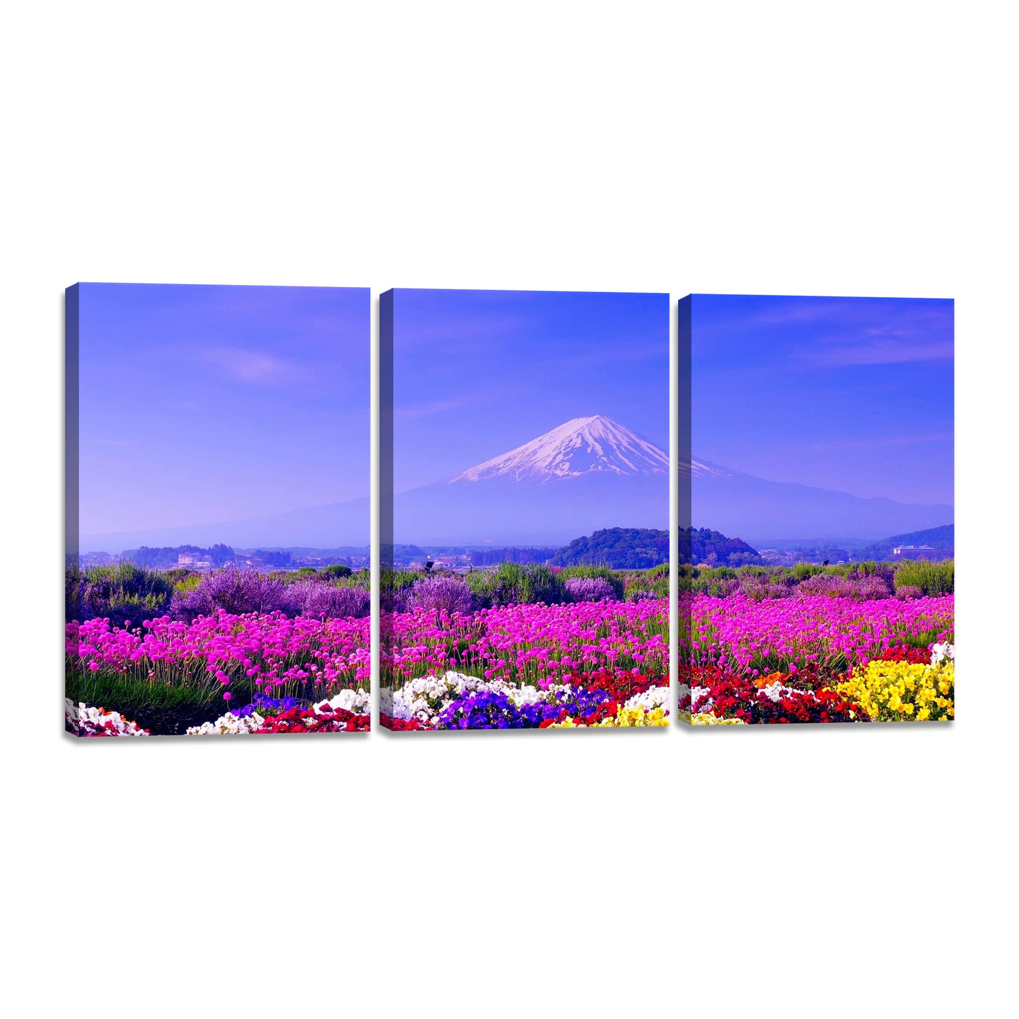 Amazon.co.jp: 富士山 絵 3枚 桜 アートパネル 山絵 風景画 日光 