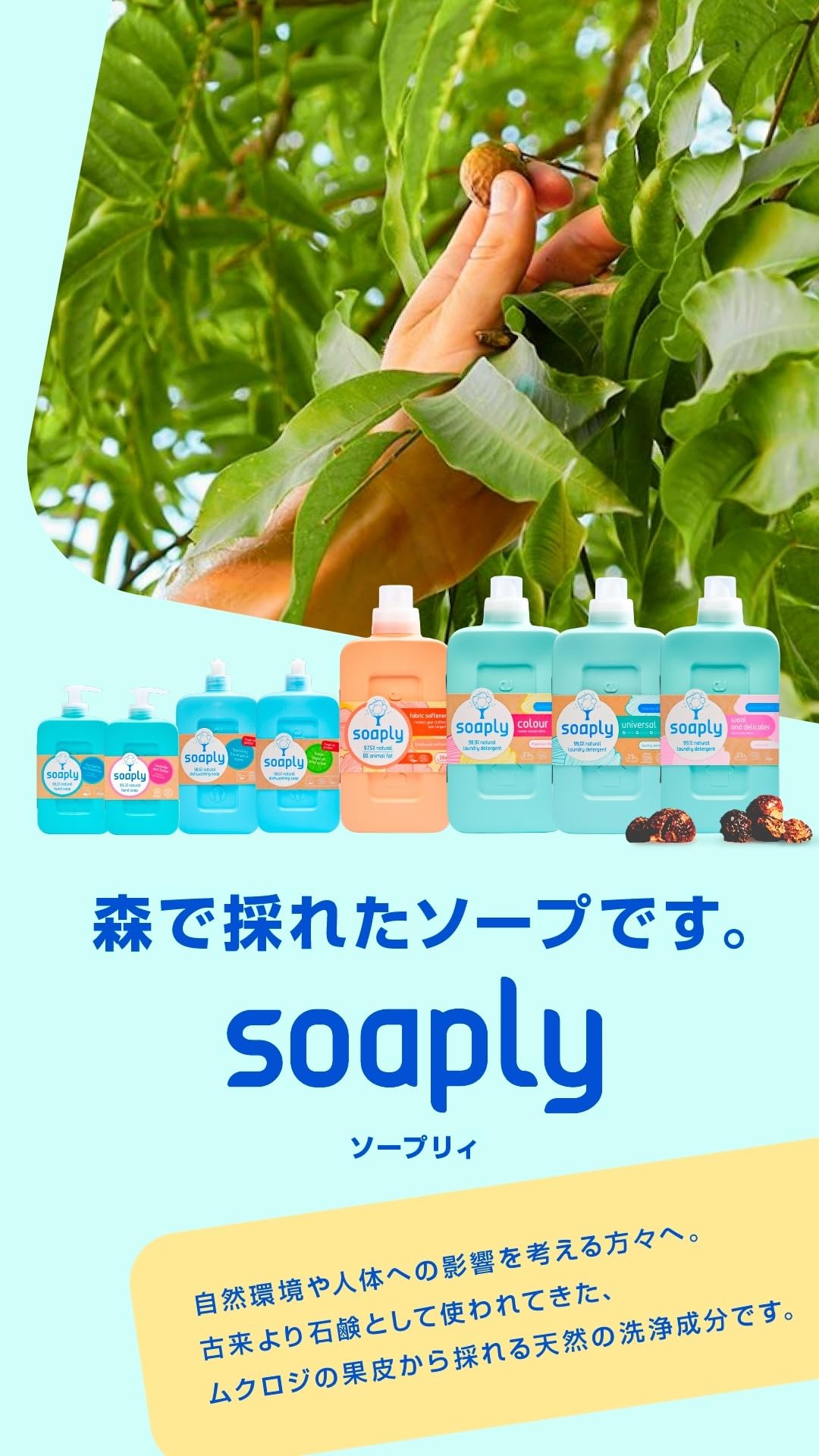 Amazon.co.jp: Soaply(ソープリー)ハンドソープ【ユーカリ&ローズ