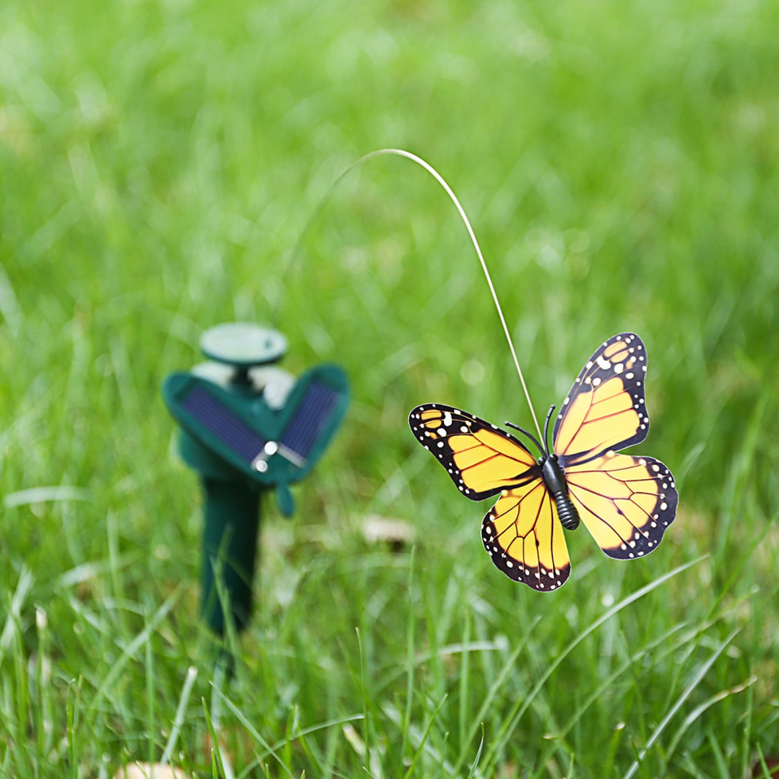 Farfalle danzanti svolazzanti e colibrì volanti alimentati a energia solare, decorazione per giardino e cortile