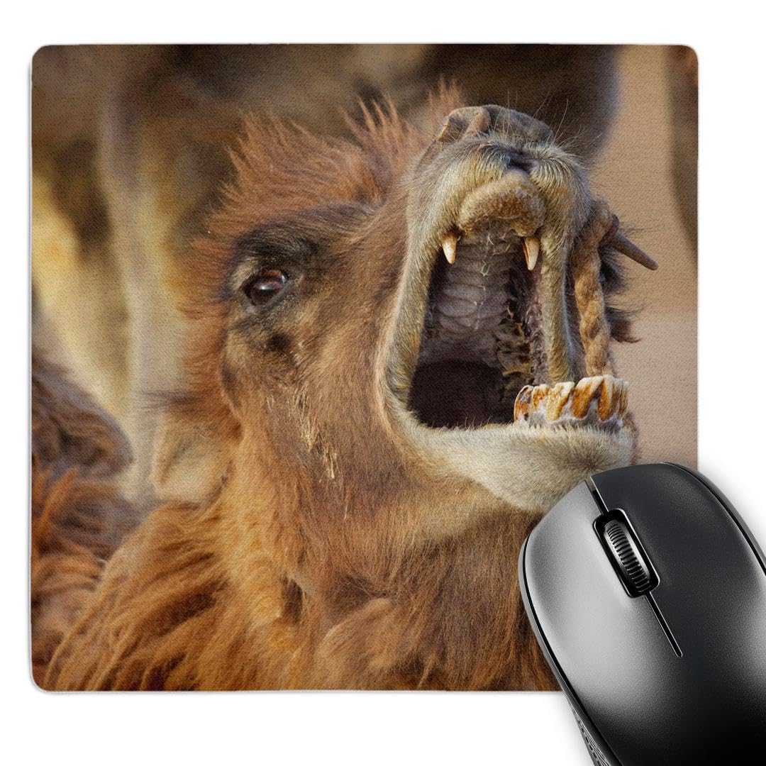 3D Rose "China Inner Mongolia Badain Jaran Desert. View of Camels Open Mouth." Matte Finish Mouse Pad - 8 x 8" - mp_188309_1