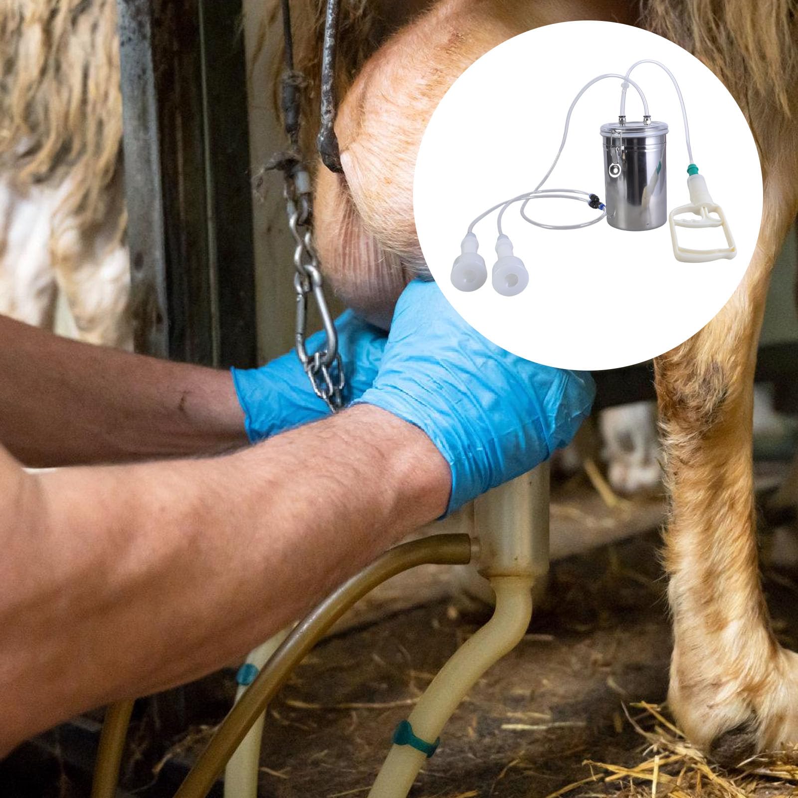 Operazioni semplici della mungitrice manuale dell'acciaio inossidabile che munge dispositivo per l'attrezzatura agricola di produzione del latte della piccola scala