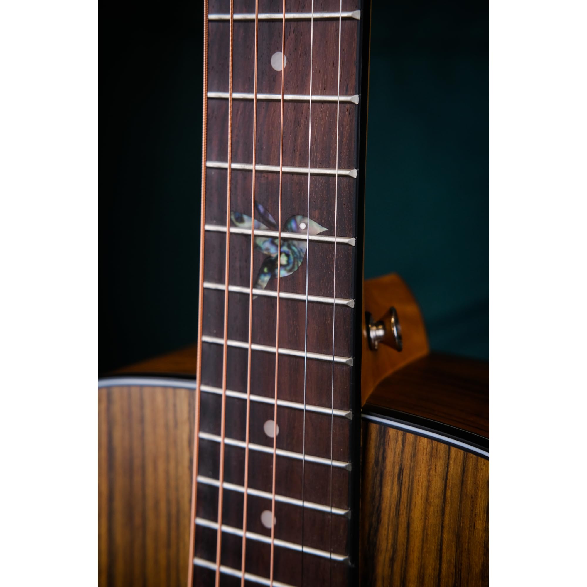 Strydom Voyager V436 NM Travel Guitar - 36" Acoustic, A-Grade Walnut, Okoume Neck, Rosewood Fingerboard, Satin Finish, Custom Phosphor Bronze Strings, Chrome Tuners, Gig Bag Included - Image 6 thumbnail