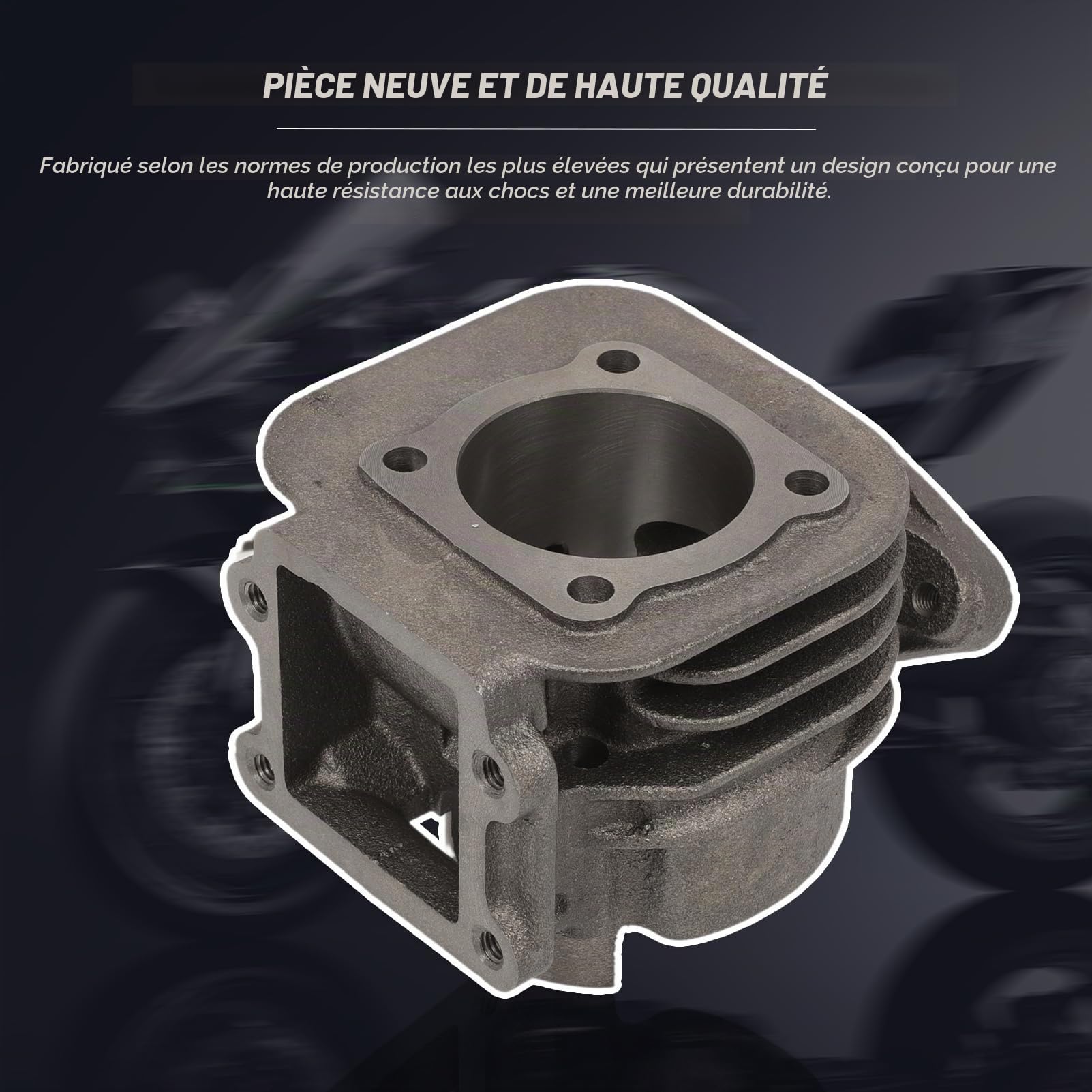 Kit Cylindre Piston Segment Groupe Thermique Pour Minarelli 70CC KT00088