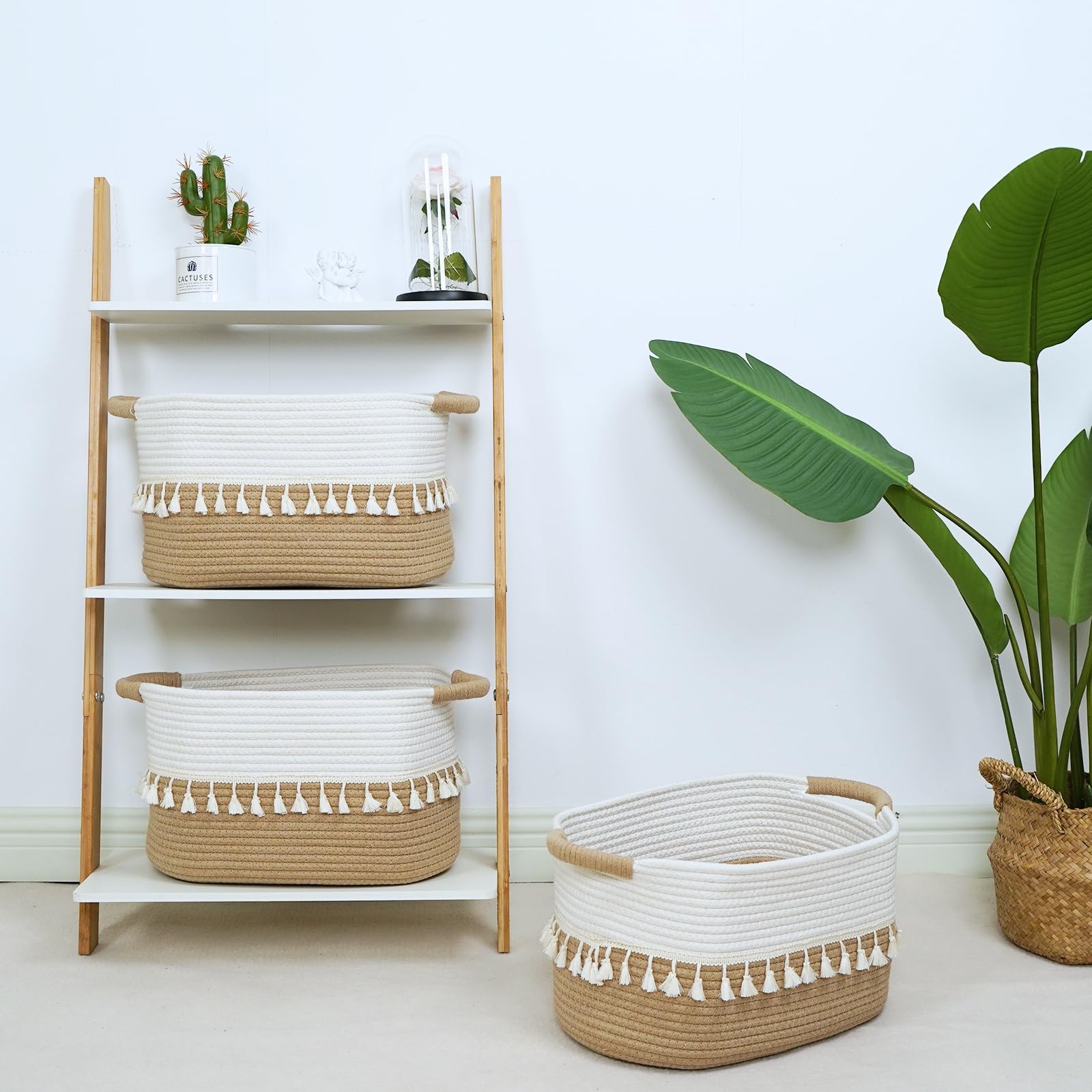 View 6