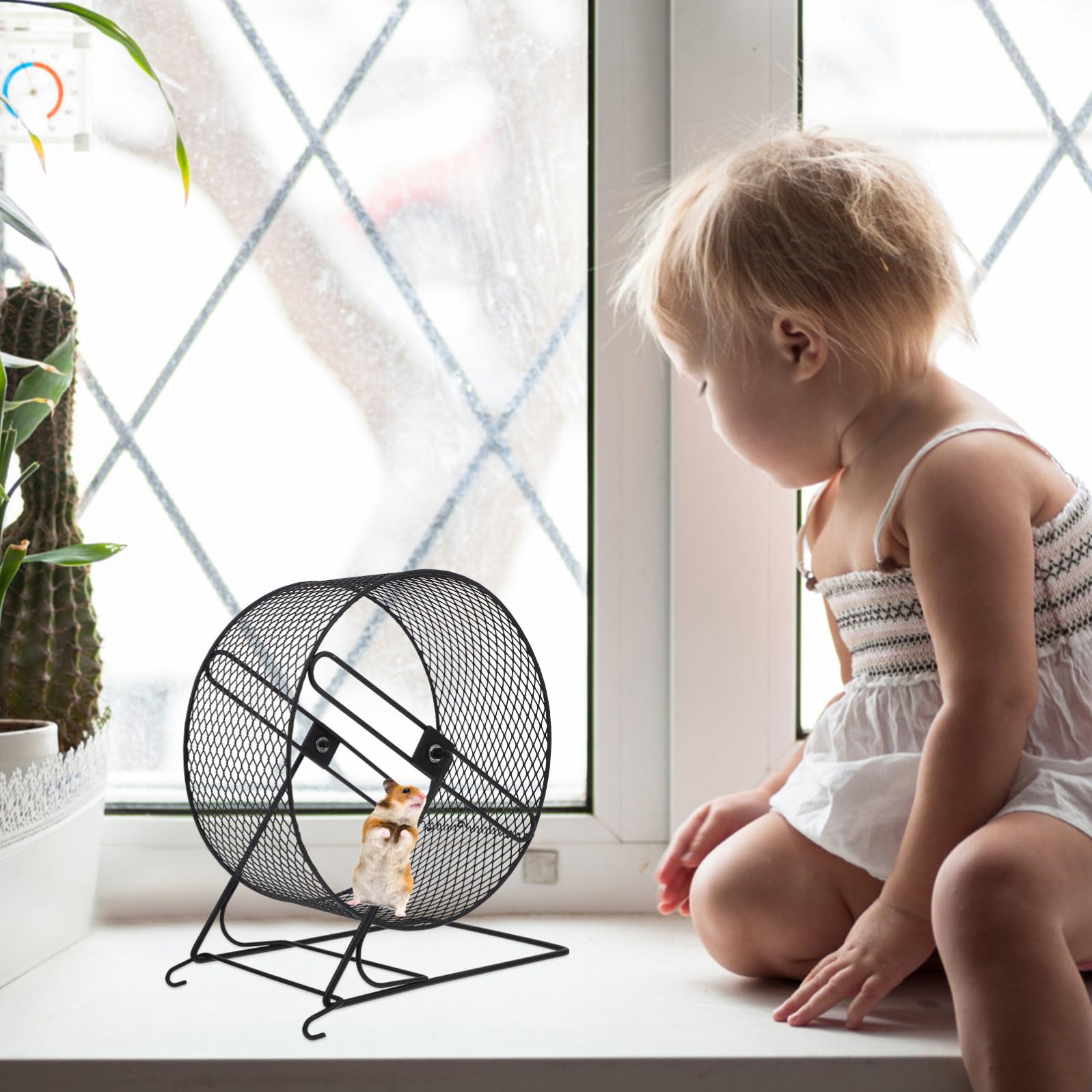 Ruota per Criceti e Ricci in Ferro Nero Silenziosa per Esercizio e Divertimento Gioco Attività Fisica Animali Domestici