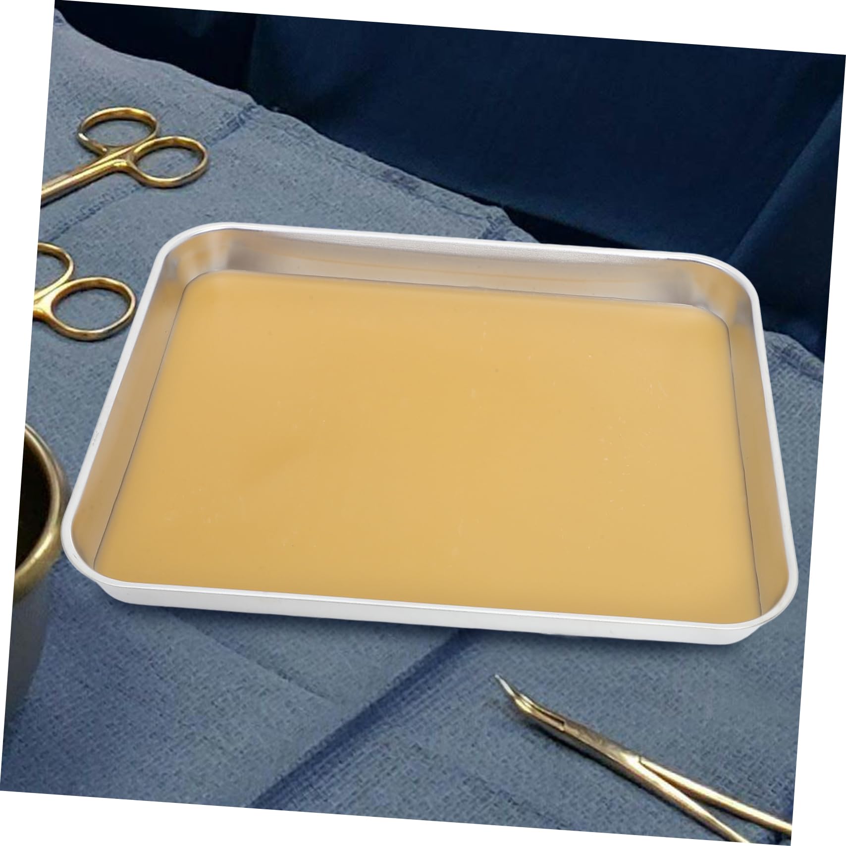 Acier Plateau de Dissection Inoxydable en Étudiants en Biologie