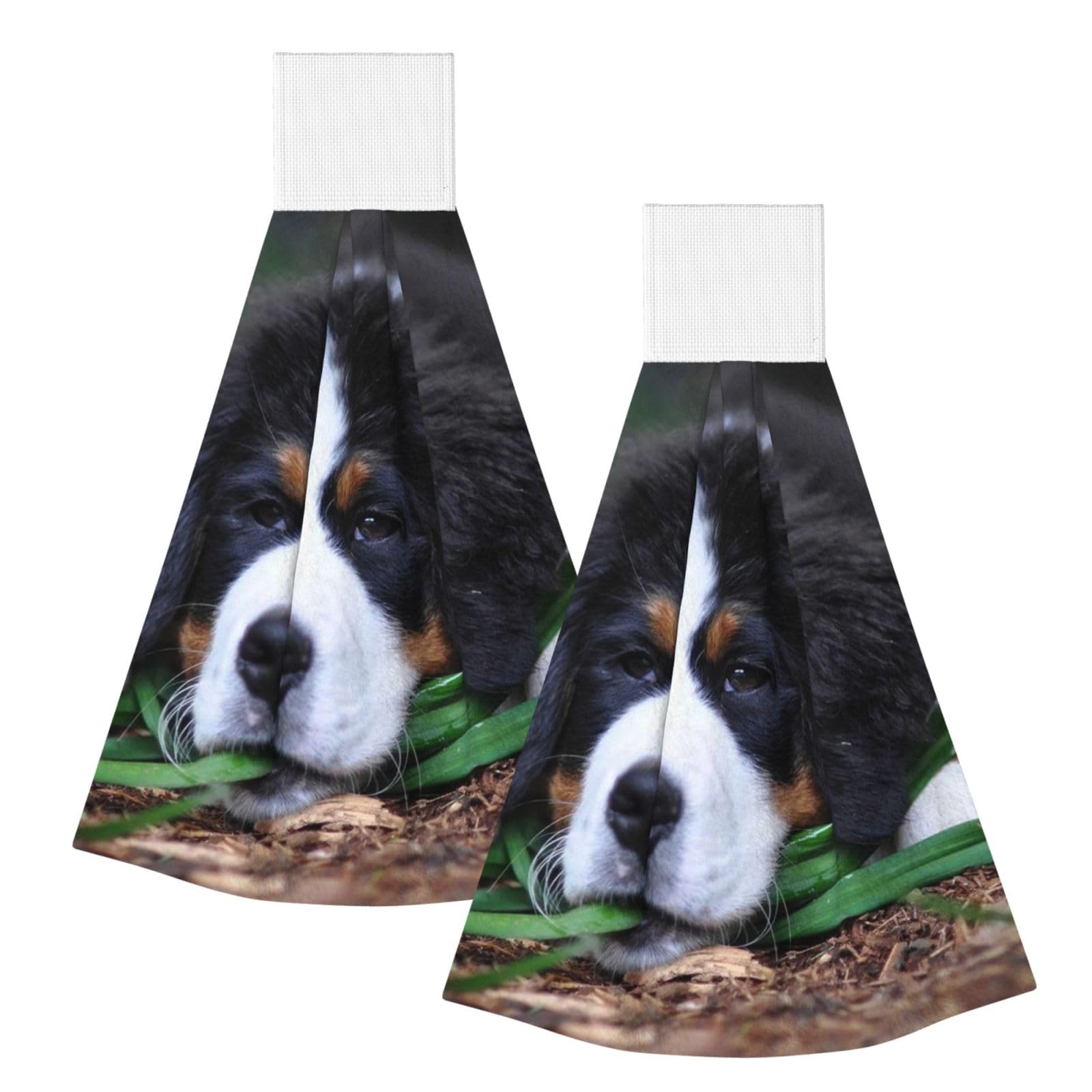DOPKLNA Lovely Bernese Mountain Dog, 2 Pcs Hanging Coral Fiber Hand Towels for Bathroom, Absorbent Kitchen Towels