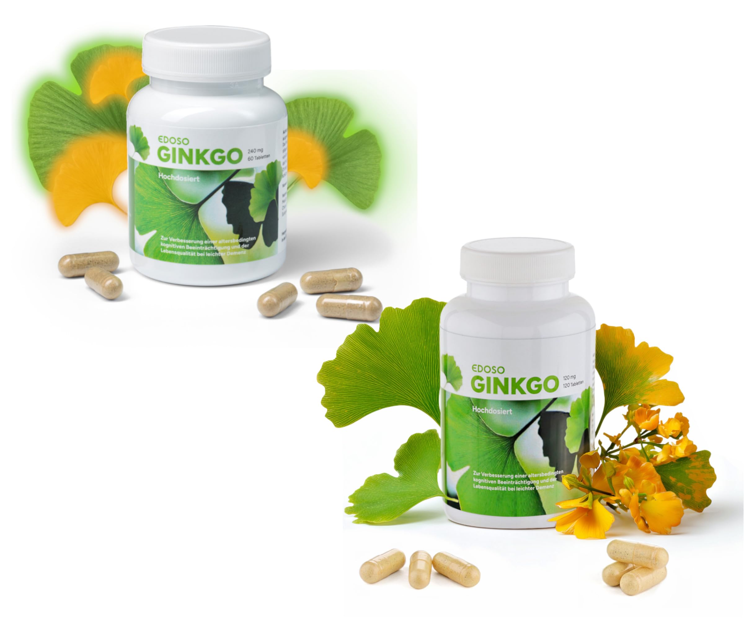Ginkgo Biloba 240 mg 60 Tabletten und 120 mg 120 Tabletten hochdosiert | Variable Dosierung | Großer Vorrat| Bei altersbedingter Vergesslichkeit oder kognitiven Beeinträchtigungen