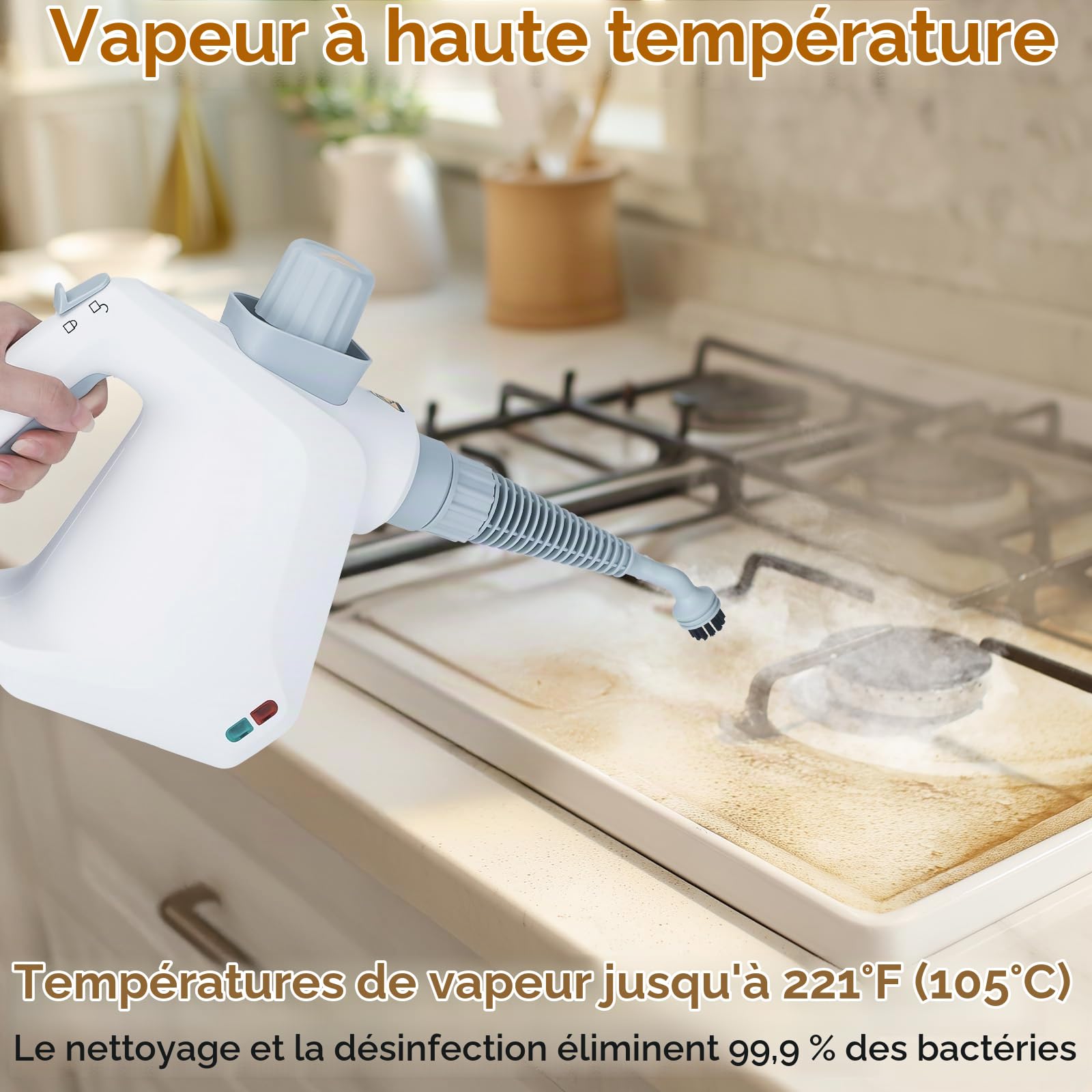 Nettoyeur Vapeur Portable,Nettoyeur Vapeur à Main 350ml avec 10 Accessoires | 1000W Nettoyeur Vapeur Multifonction pour Canapé, Cuisine, Sol, Salle de Bain, Voiture