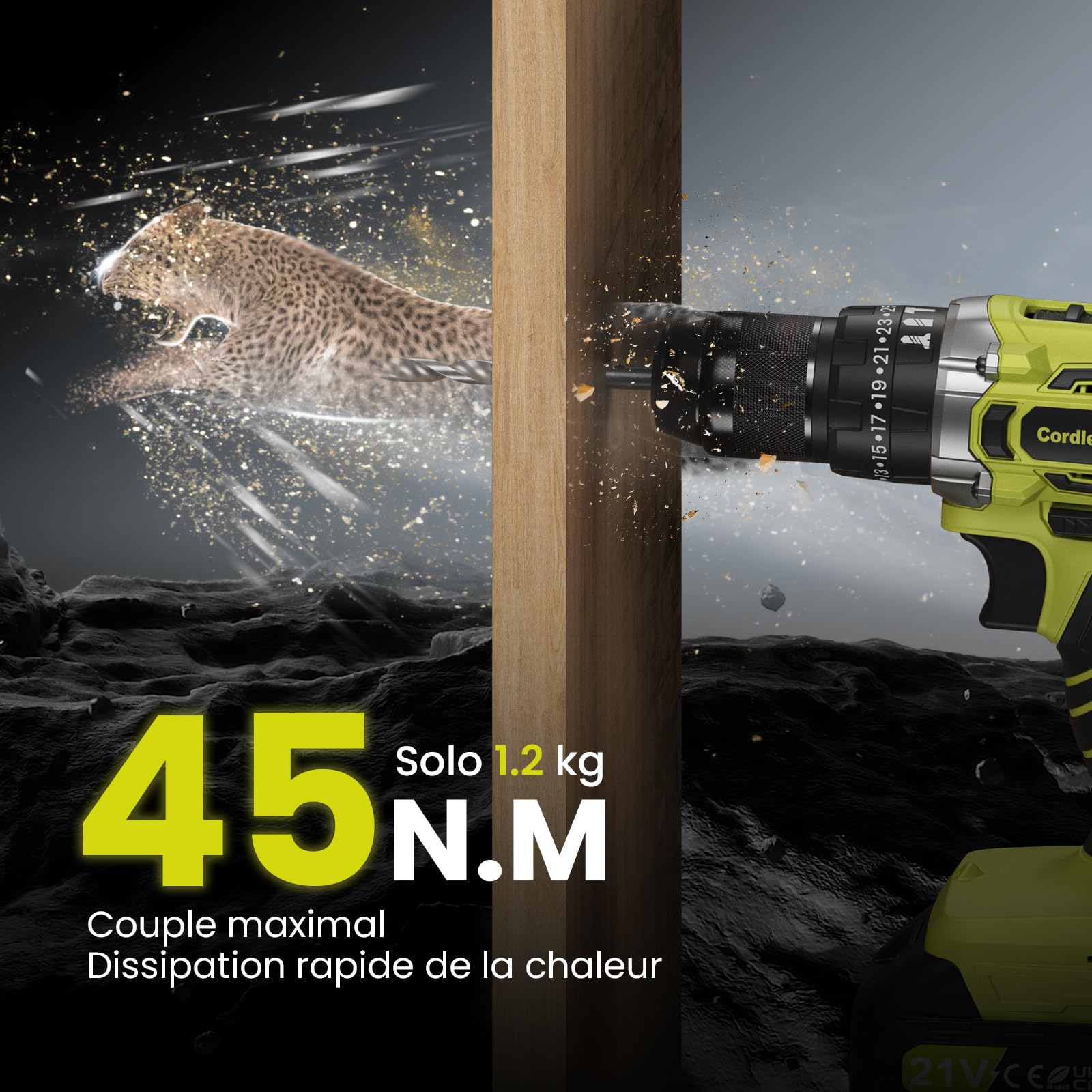 21V Perceuse Visseuse Sans Fil, 45Nm Perceuse Percussion Sans Fil, Visseuse Devisseuse avec 2 Batteries 2.0Ah, 25+3 Couple, 10mm Mandrin Métallique, 2 Vitesses, 29 Accessoires, Lampe LED, Vert
