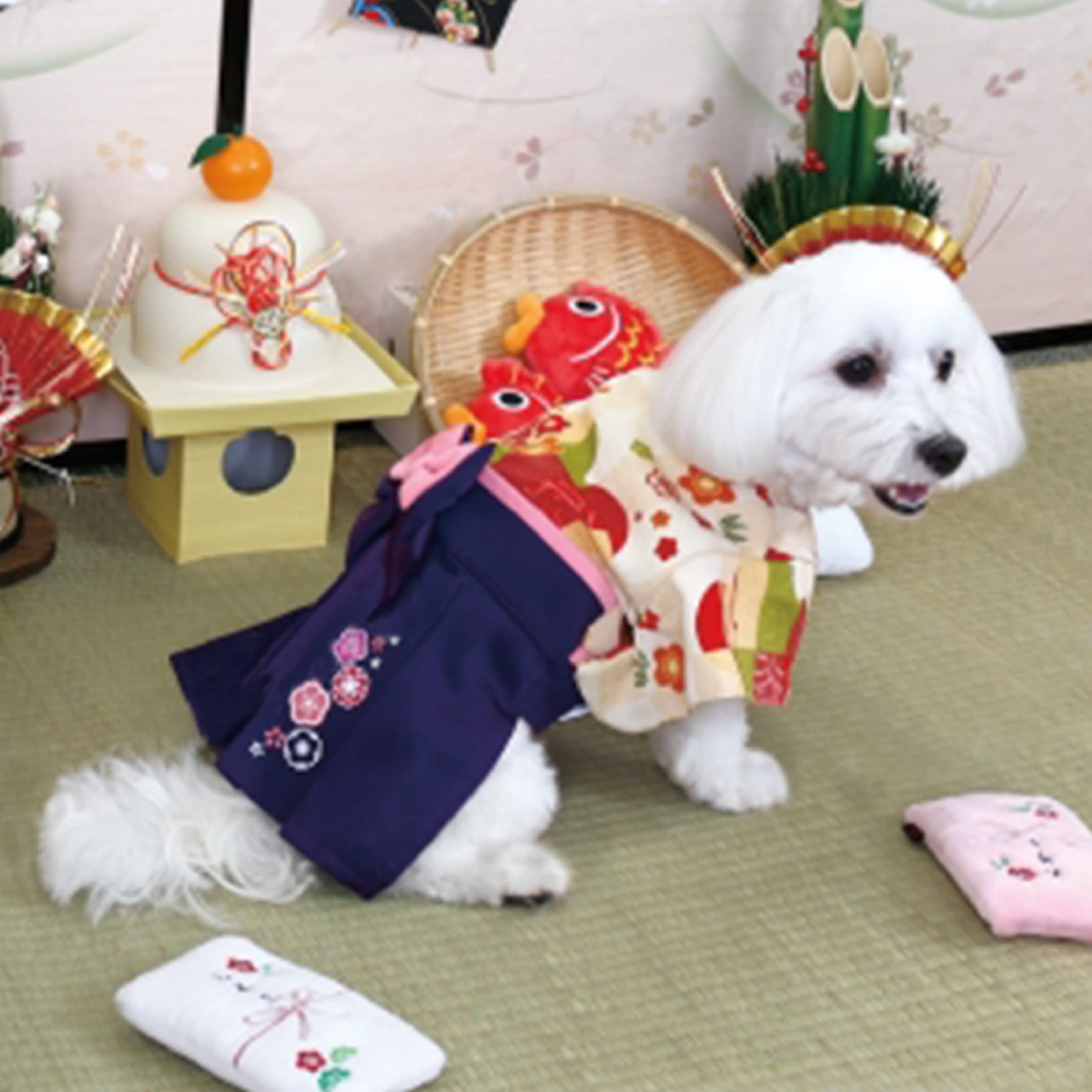 Amazon | 犬服 袴 リアル 小型犬 はかま 女の子 紅梅 袴 犬 着物 和服 