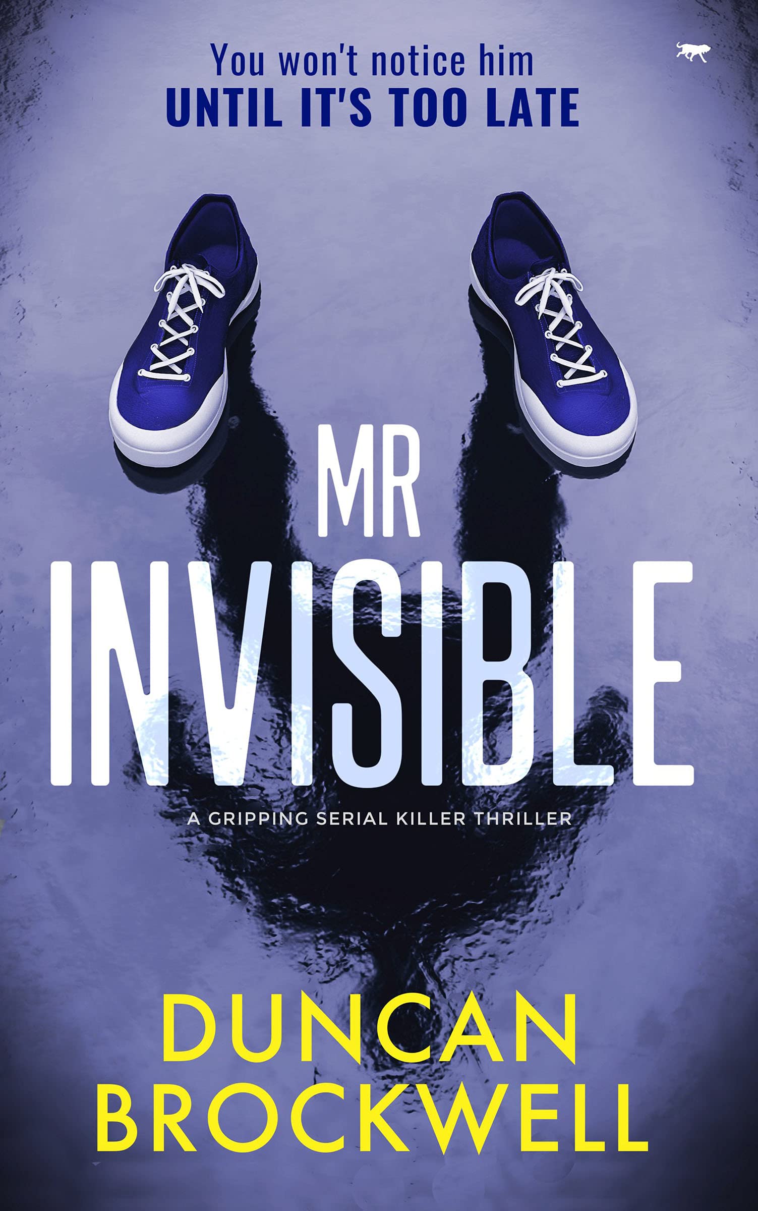 Mr Invisible: a gripping serial killer thriller