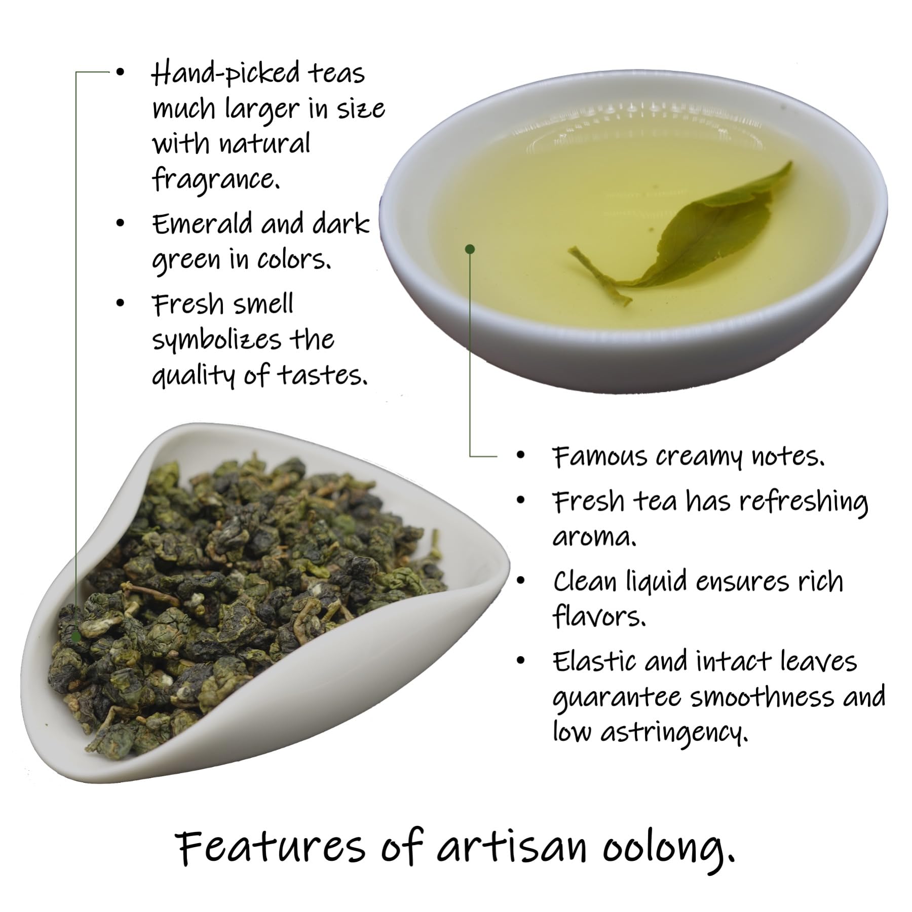 Trilliant -Fomsa Tea Milky oolong, tè Jin Xuan di alta montagna, JinXuan raccolto a mano, foglia di tè sfuso, tè gongfu di Taiwan, confezione regalo 4 once, note burrose e lattiginose