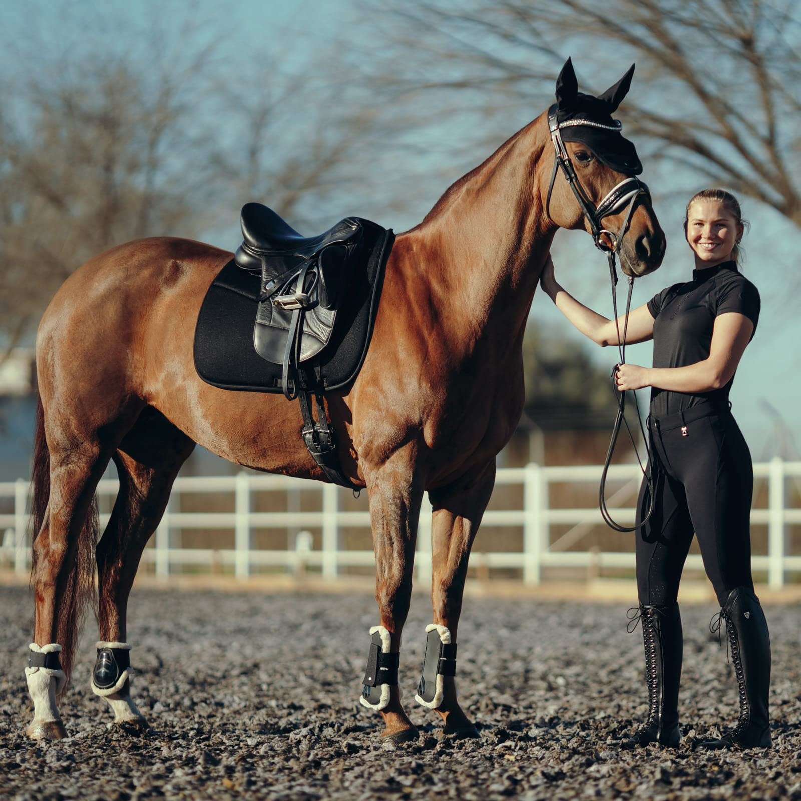 Amazon.co.jp: HORZE ホルツ(horze) ドレッサージュサドルパッド  