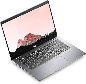 Amazon.com: Dell Latitude 5420 Laptop, 14