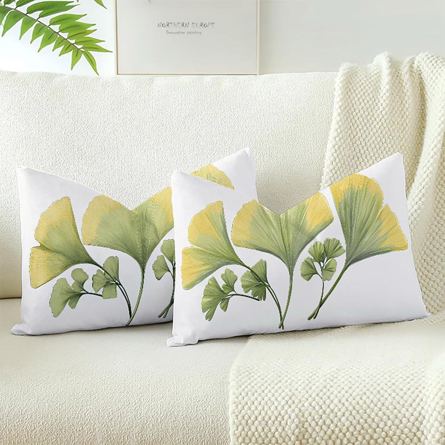 Housses de coussins velours 70x40cm douces et lavables XC-9414 lot de 2