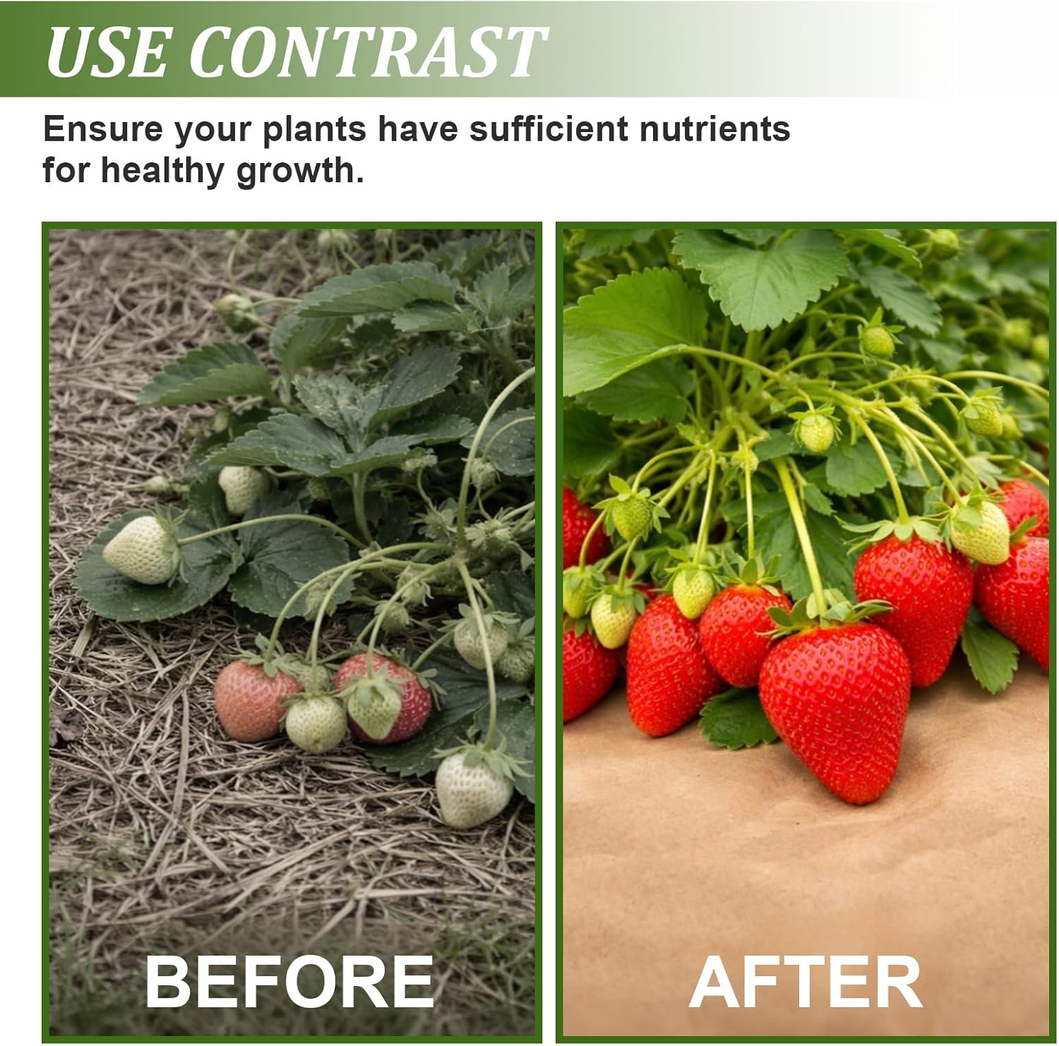 50 x 3 Ft Biodegradable Paper Weed Barrier Garden Paper Weed Barrier with U-Shaped Ground Nails Biodegradable Landscape Fabric Garden Mulch Rolls for Weeds Outdoor Lawn