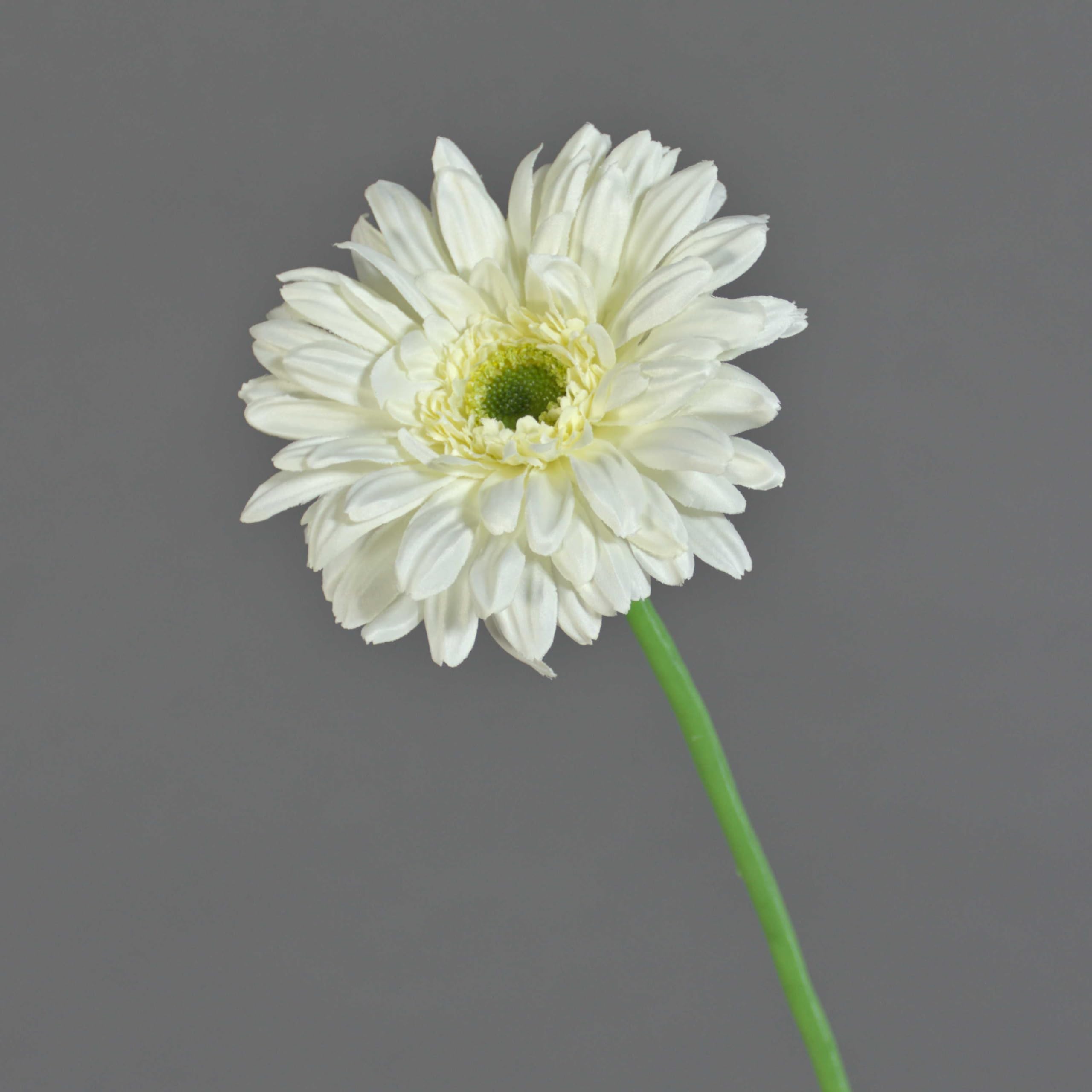 artplants.de Artificial gerbera HELLI, cream, 26"/65cm, Ø4.7"/12cm - Artificial flowers/False gerbera