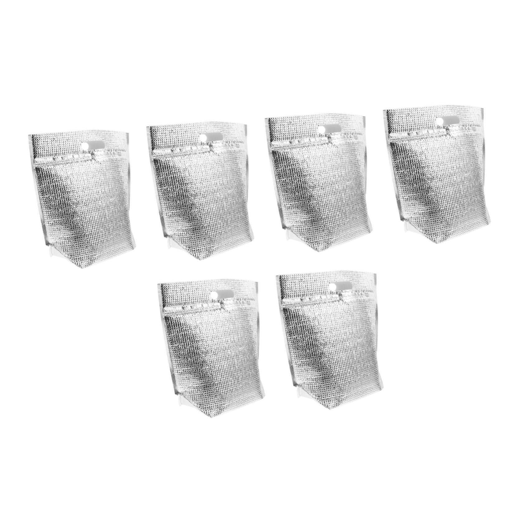 FUNOMOCYA 6pcs Self-sealing Thermal Bag Take Out Food Bag Take Food Bag Cake Pizza Packaging Bag Zipper Insulated Bag Zipper Tote Bag Lunch Storage Pouch Metal Pearl Cotton Meal Kit