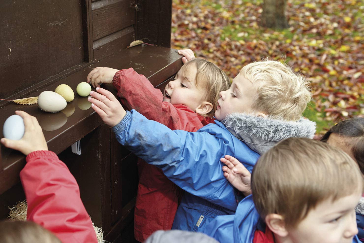 Yellow Door Size-Sorting Eggs, Set of 8