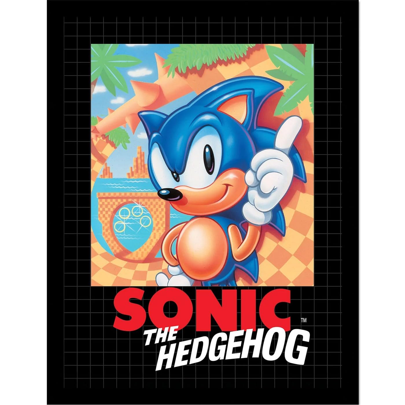 Sonic The Hedgehog Black/Multicoloured Cover Framed Poster (40Cm X 30M) ()