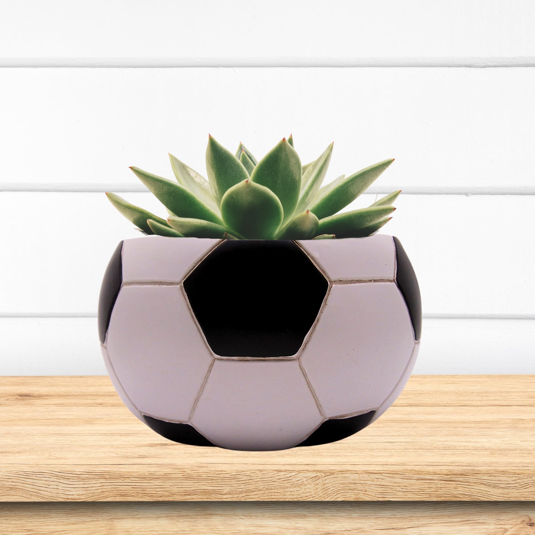 Amazon.co.jp: サッカーボール型プランターポット、ホーム&ガーデン