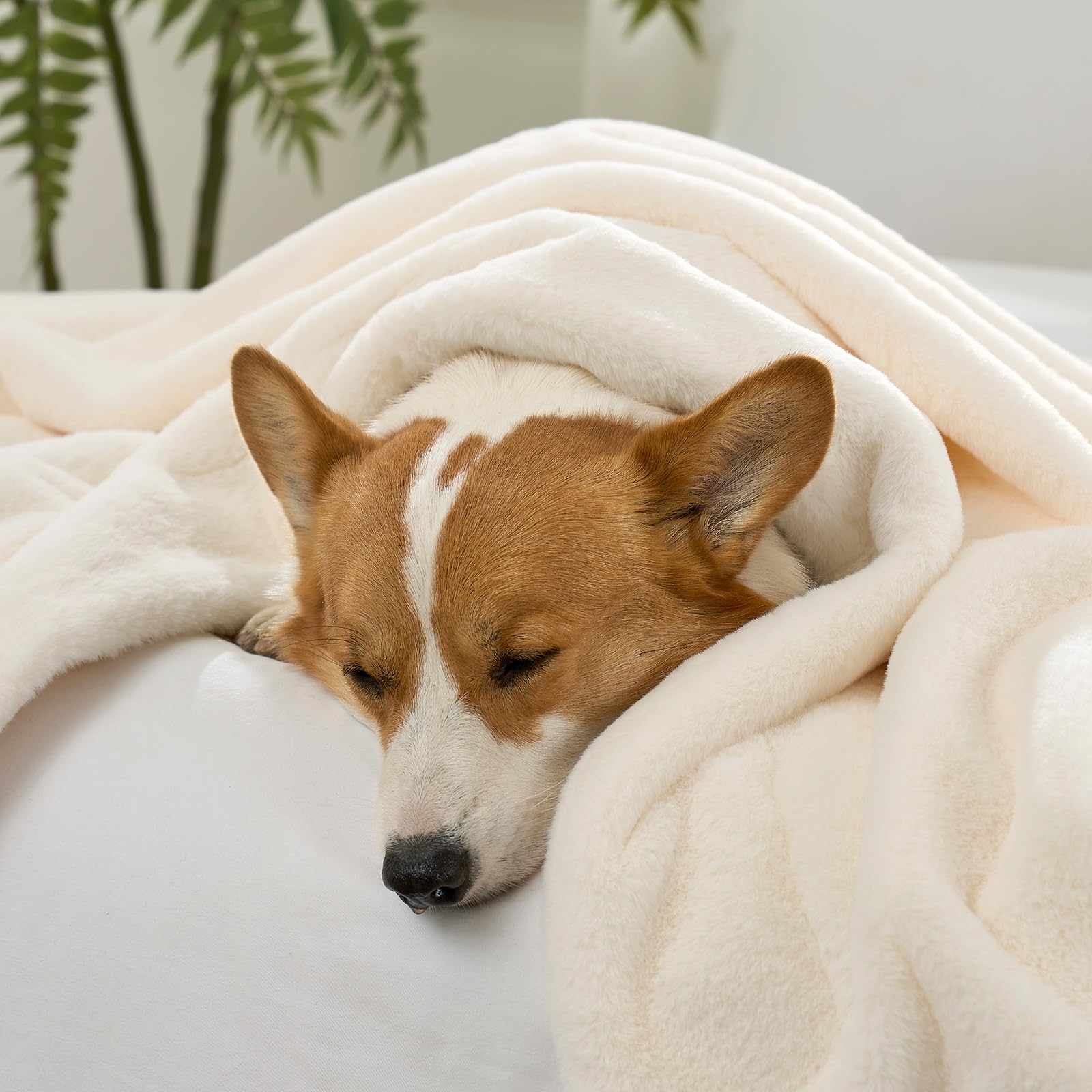 COZY KISS Manta Impermeable de Piel Sintética, Manta para sofá, Cama y Asiento Trasero del Coche, Cubierta Protectora para Mascotas para Perro Grande o Gato, Reversible, Ultra Suave, 127x150cm, Beige