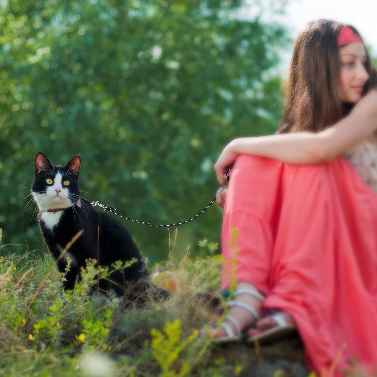 Guinzaglio lungo riflettente per gatti, 9 m, a prova di fuga, lungo e sicuro, per gatti, cuccioli, conigli e piccoli animali Nero