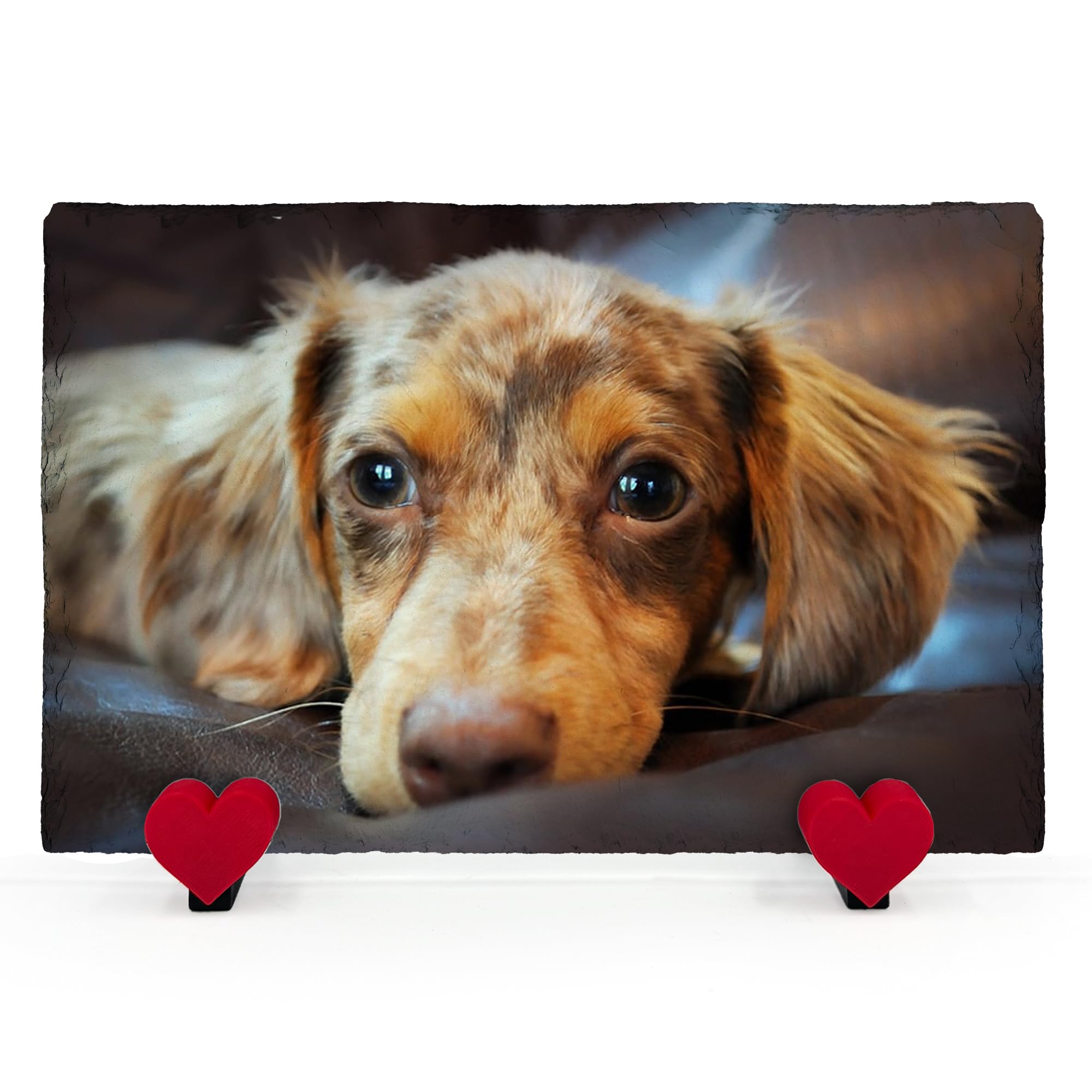 AMAZING Personalised Pet Memorial Plaque with Photo and Text Heart Slate for Dog Cat with Heart Display Stand - Horizontal - Size 20x30 cm