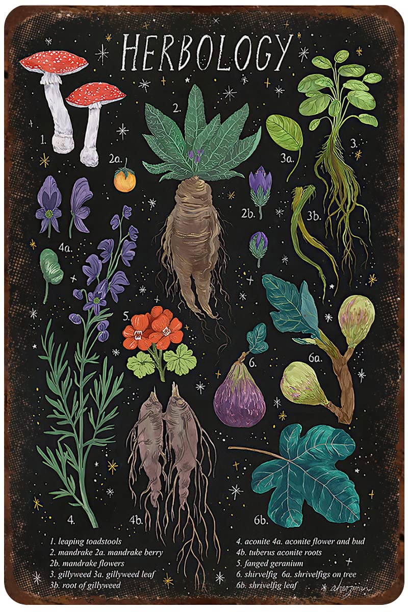 Photo 1 of Mocozim Rustic Retro Metal Tin Sign Herbology Poster Plant Magic Home Decor Wall Art Decor Tin Sign for Living Room,Kitchen,Bedroom Gift 8X12Inch