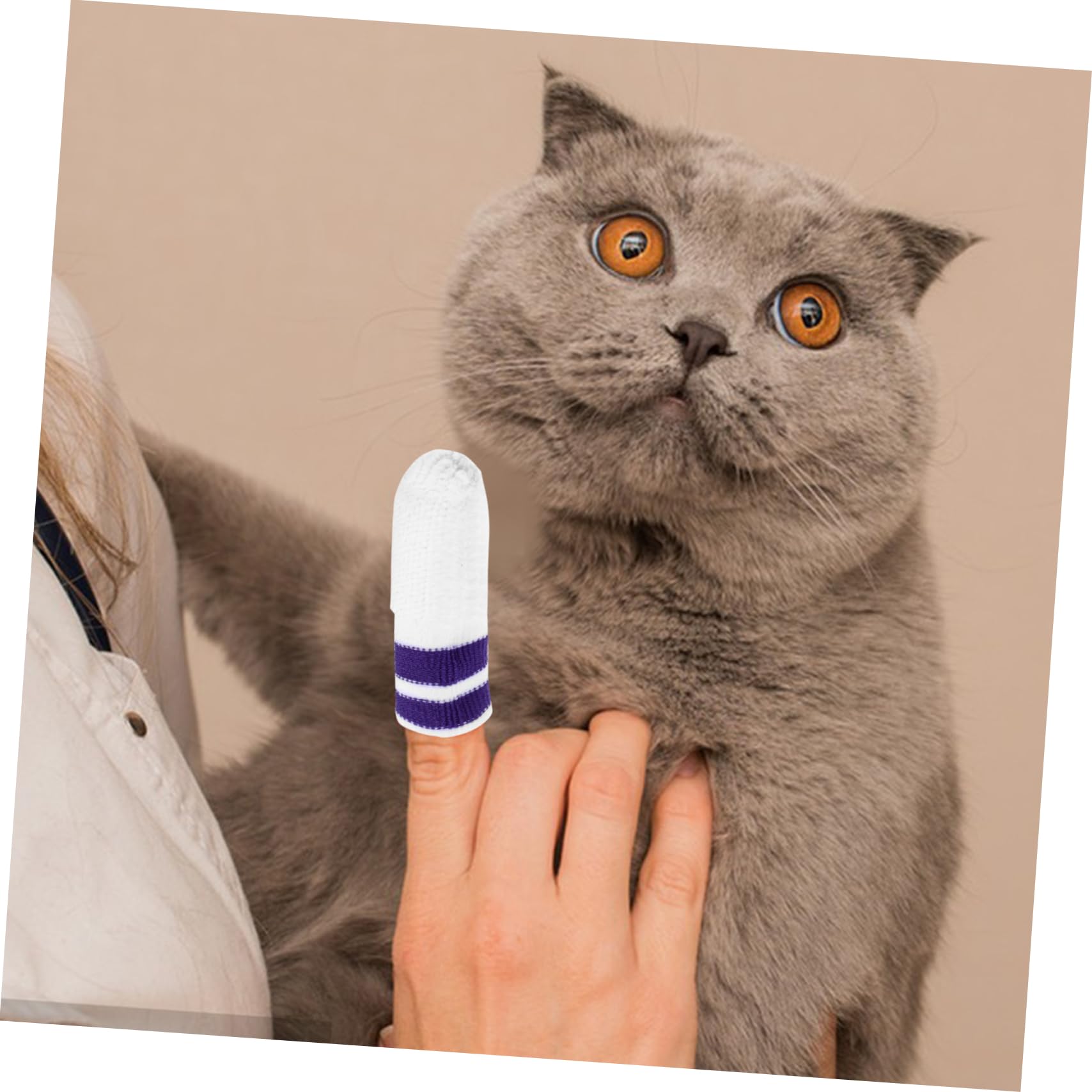 BESPORTBLE 30stücke Teiliges Katzen Und Hundezahnbürsten Nylon Sanfte Fingerzahnbürsten Für Mundpflege Von Haustieren Für Frischen Und Zahnhygiene