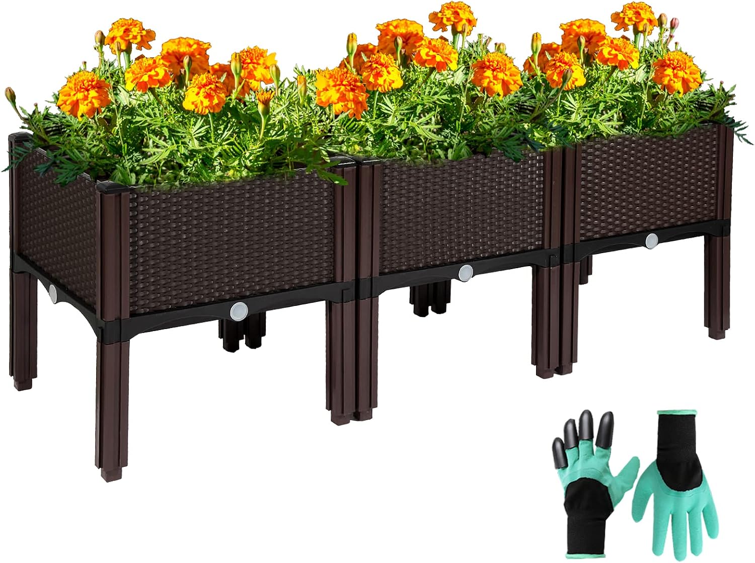 Semillas De Geranio Colgante – 100 Unidades, Ideales Para Macetas, Balcones Y Jardines Elevados, Rápido Crecimiento