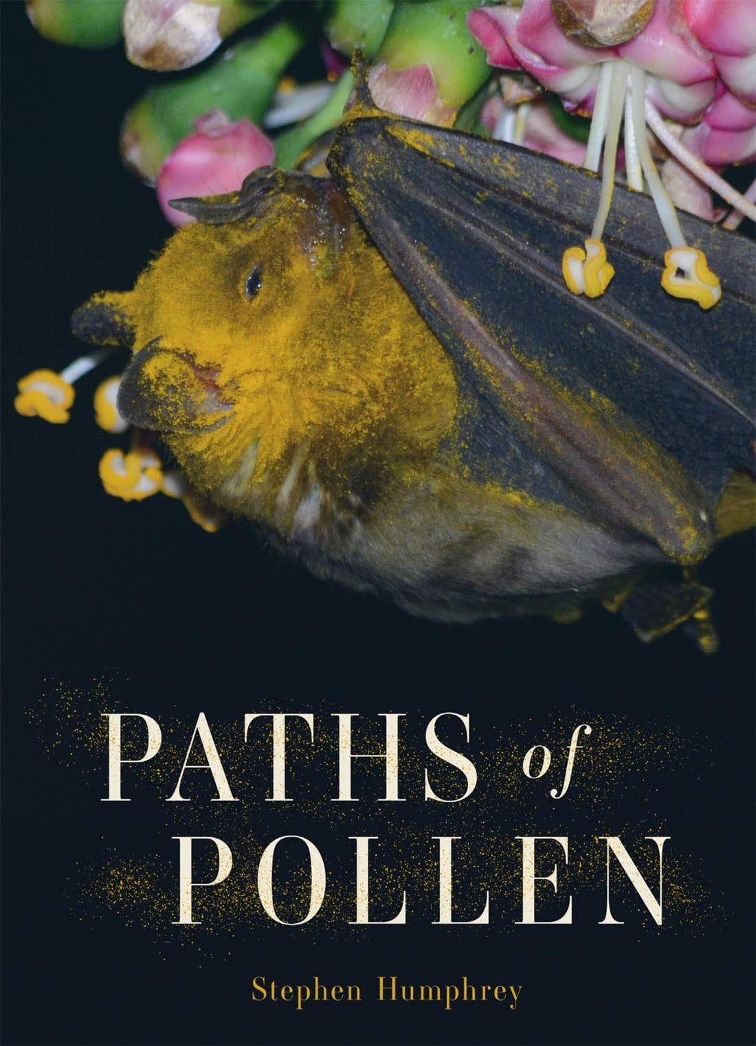 Paths of Pollen - 9780228018971