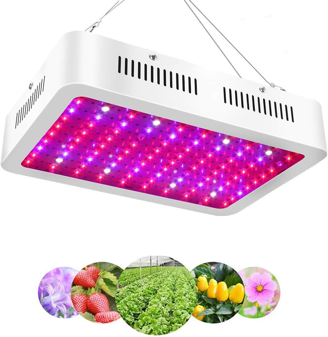 Phylis 1000W LED Grow Light，Full Spectrum LED Grow Light Hydroponic Indoor Plants with Veg and Bloom Switch Double Chips LED (100pcs 10W LEDs)