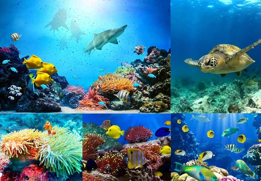 アートペイント 海 アートペイント 海 Amazon.co.jp: MXCFZX 6パック 海のビーチ