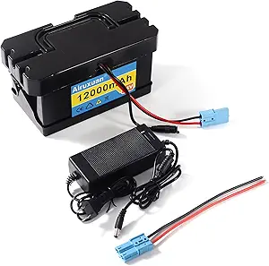 24V 12Ah Lithium Battery for Kids Ride-On Cars & Power Wheels, 25A BMS, 2A Charger,Compatible with Dynacraft Realtree 24V UTVs