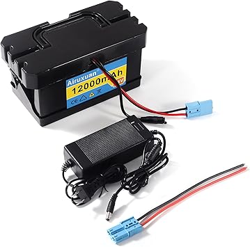 24V 12Ah Lithium Battery for Kids Ride-On Cars & Power Wheels, 25A BMS, 2A Charger,Compatible with Dynacraft Realtree 24V UTVs