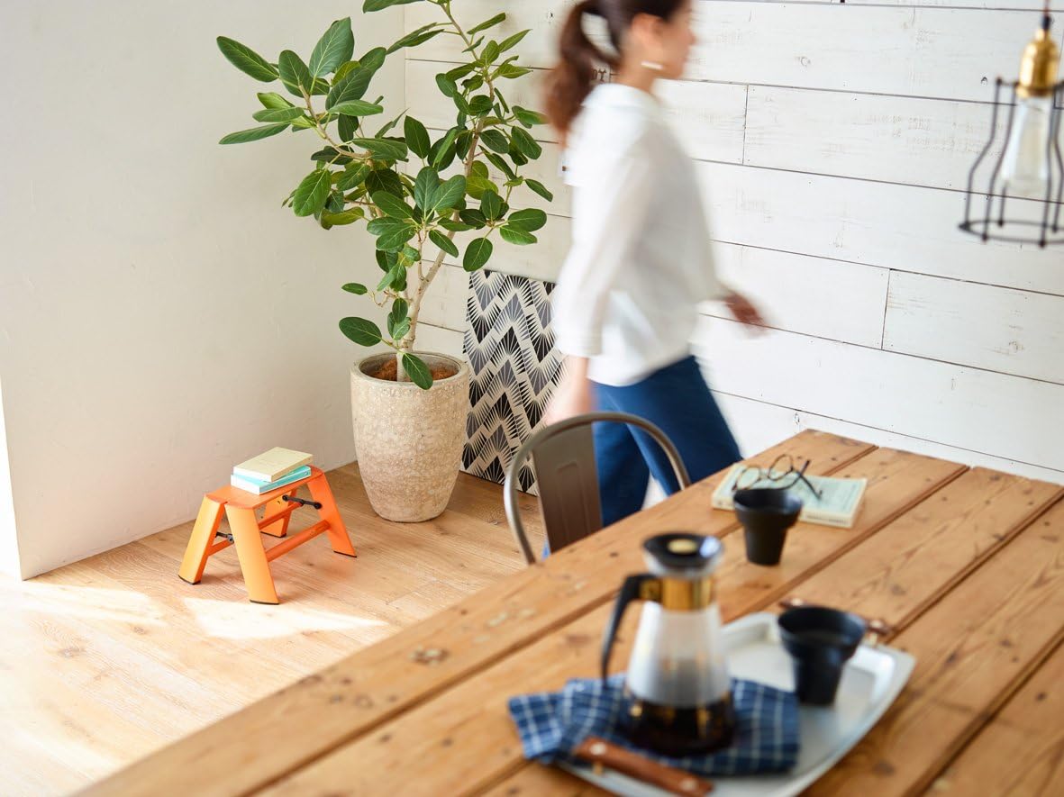 Hasegawa Ladders Lucano Step Stool, 1, Orange