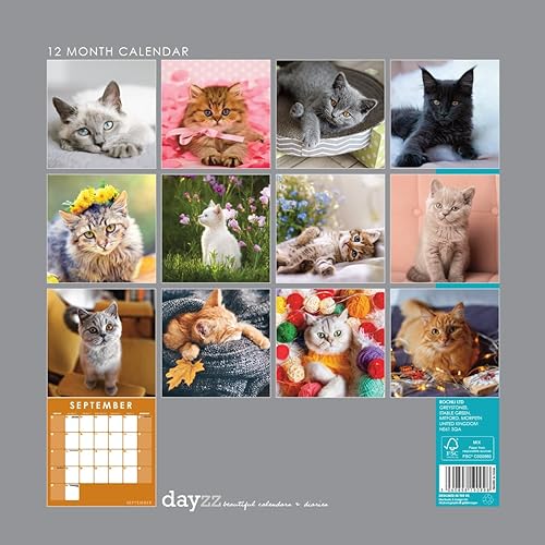 Miniatura 2 de Rochli Calendario de pared cuadrado colgante con bonitos gatos y gatitos 2024 con fotografía impresionante. Sin plástico. Planificador diario,