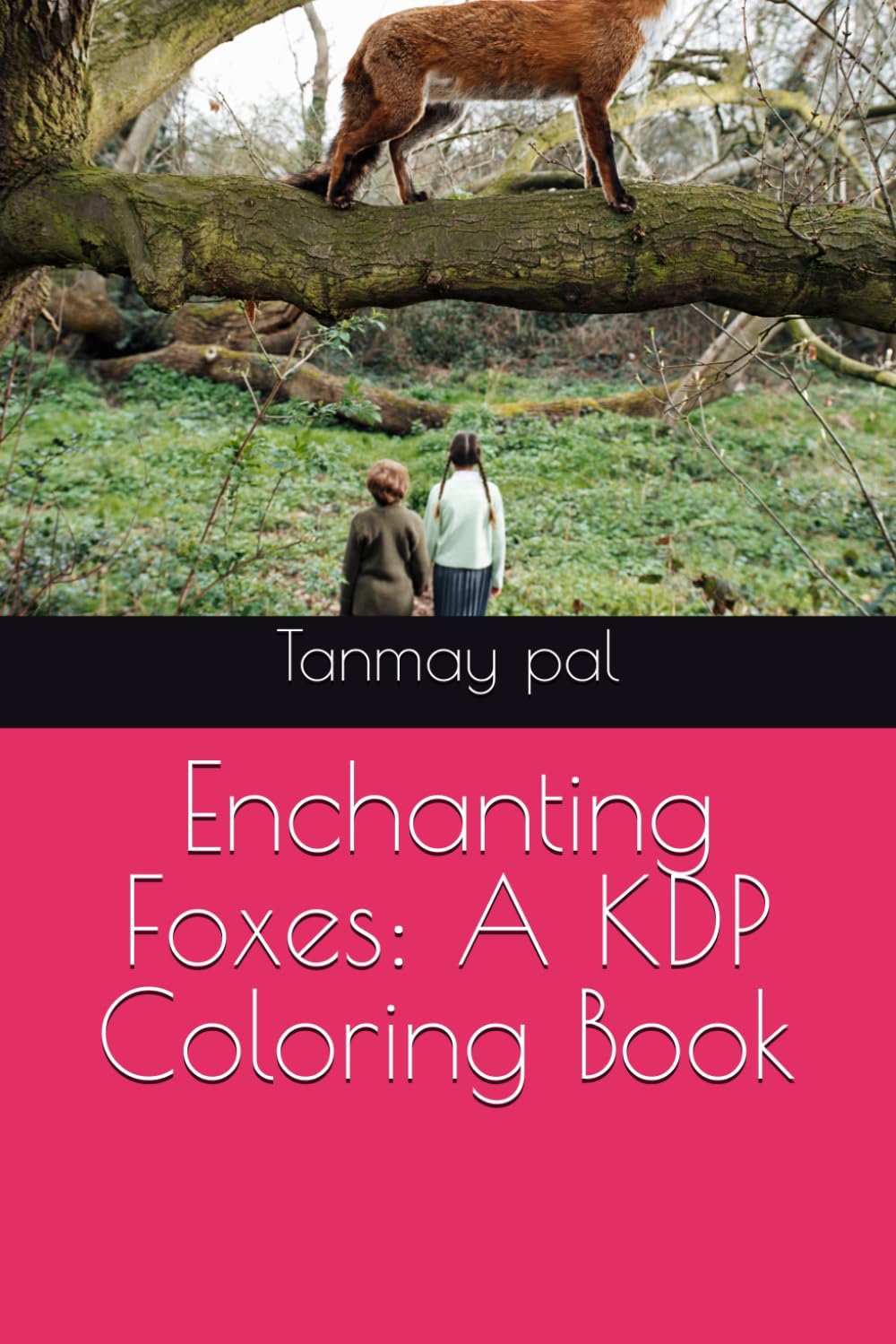 Enchanting Foxes: A KDP Coloring Book